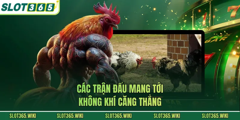 Các trận đấu mang tới không khí căng thẳng