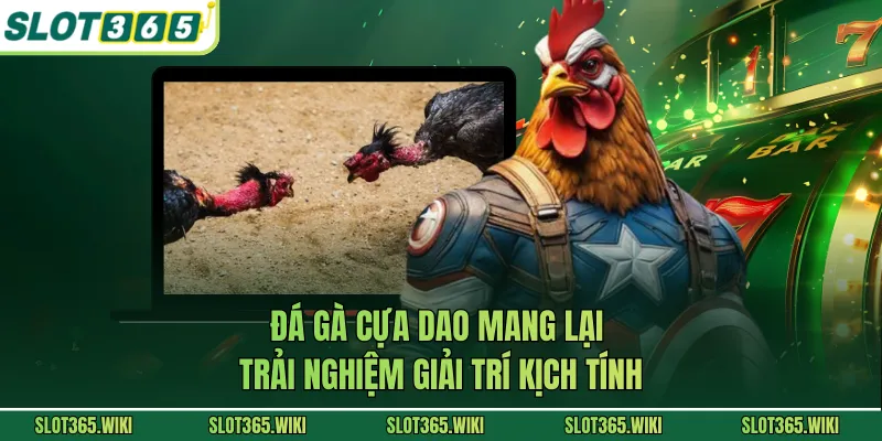 Đá gà cựa dao mang lại trải nghiệm giải trí kịch tính